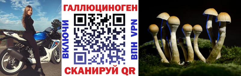 Галлюциногенные грибы Psilocybine cubensis  Шагонар 