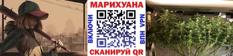 купить  сайты  Шагонар  Канабис Ganja 